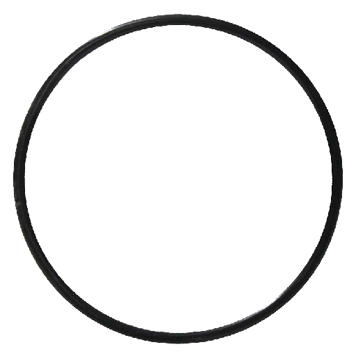 [R-AP50/50XORINGCB] O-ring para el cuerpo de bomba de los modelos AP-50, AP-50X